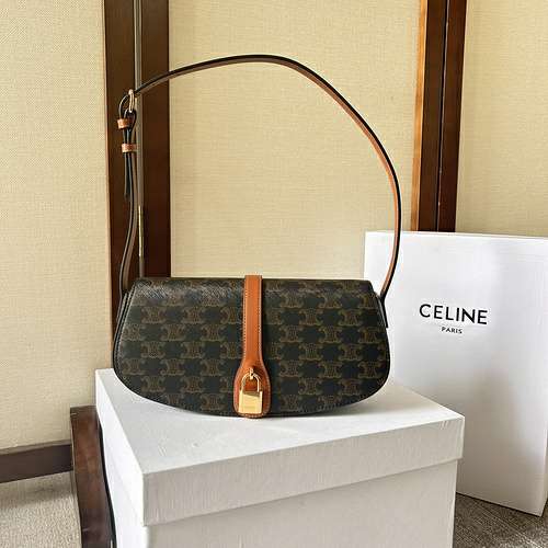 Picture of Celine Lady Handbags _SKUfw156716192fw